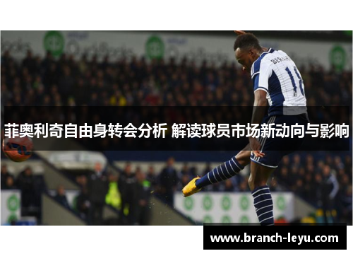 菲奥利奇自由身转会分析 解读球员市场新动向与影响 菲奥利奇自由身转会分析 解读球员市场新动向与影响
