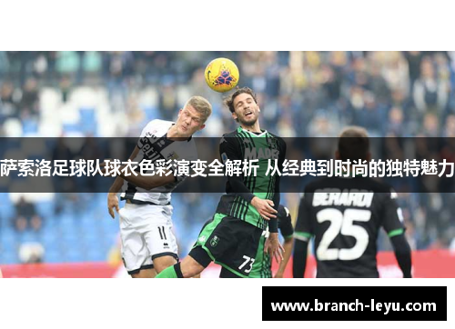 萨索洛足球队球衣色彩演变全解析 从经典到时尚的独特魅力 萨索洛足球队球衣色彩演变全解析 从经典到时尚的独特魅力
