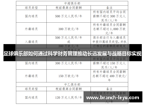 足球俱乐部如何通过科学财务管理推动长远发展与战略目标实现