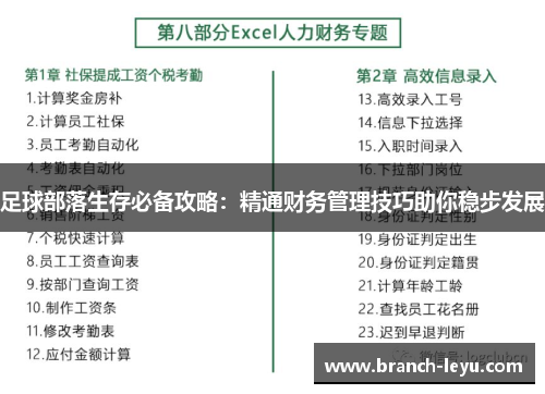 足球部落生存必备攻略:精通财务管理技巧助你稳步发展 足球部落生存必备攻略:精通财务管理技巧助你稳步发展