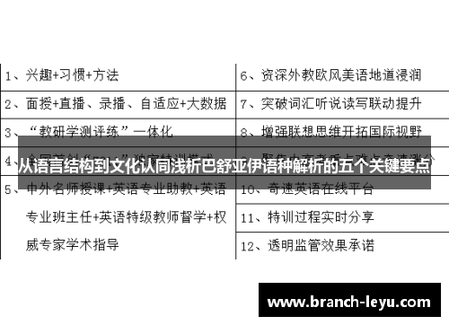 从语言结构到文化认同浅析巴舒亚伊语种解析的五个关键要点 从语言结构到文化认同浅析巴舒亚伊语种解析的五个关键要点