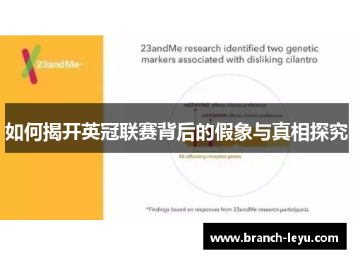 如何揭开英冠联赛背后的假象与真相探究