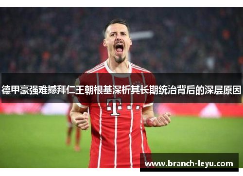 德甲豪强难撼拜仁王朝根基深析其长期统治背后的深层原因 德甲豪强难撼拜仁王朝根基深析其长期统治背后的深层原因
