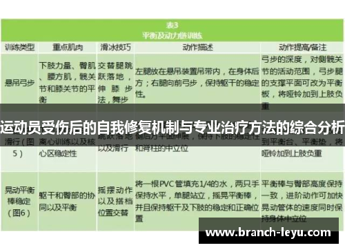 运动员受伤后的自我修复机制与专业治疗方法的综合分析