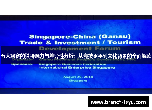 五大联赛的独特魅力与差异性分析：从竞技水平到文化背景的全面解读