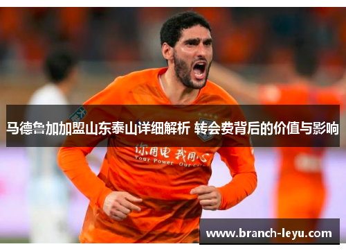 马德鲁加加盟山东泰山详细解析 转会费背后的价值与影响