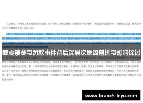 魏震禁赛与罚款事件背后深层次原因剖析与影响探讨 魏震禁赛与罚款事件背后深层次原因剖析与影响探讨