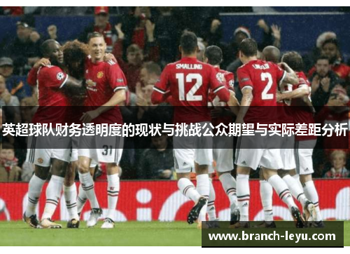 英超球队财务透明度的现状与挑战公众期望与实际差距分析