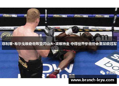 菲利普·希尔戈维奇击败亚历山大·波维特金 夺得世界拳击协会重量级冠军