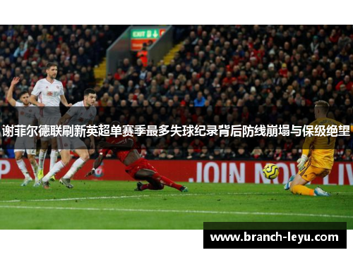 谢菲尔德联刷新英超单赛季最多失球纪录背后防线崩塌与保级绝望