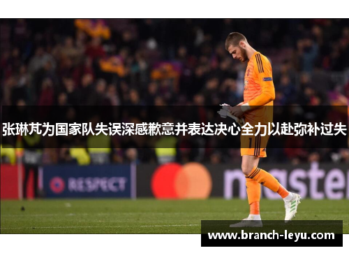 张琳芃为国家队失误深感歉意并表达决心全力以赴弥补过失